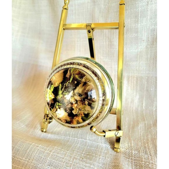 Vintage Lucite Pressed Flower Moss Squirrel Paperweight - Picture 3 of 10